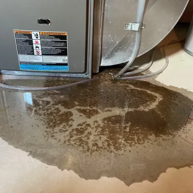 Appliance Leak Cleanup in Deuel County, SD